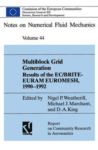 Vorderes Coverbild Multiblock Grid Generation
