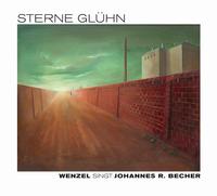 Vorderes Coverbild Sterne glühn