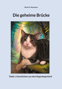 Vorderes Coverbild Die geheime Brücke