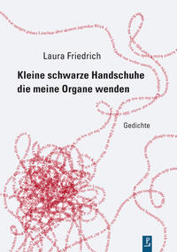 Vorderes Coverbild Kleine schwarze Handschuhe die meine Organe wenden