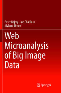 Vorderes Coverbild Web Microanalysis of Big Image Data