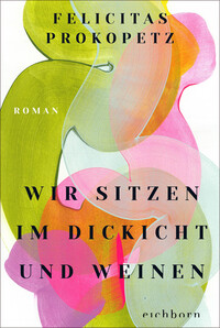 Vorderes Coverbild Wir sitzen im Dickicht und weinen