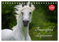 Vorderes Coverbild Traumpferd Lipizzaner (Tischkalender 2025 DIN A5 quer), CALVENDO Monatskalender
