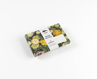 Vorderes Coverbild Vincent van Gogh