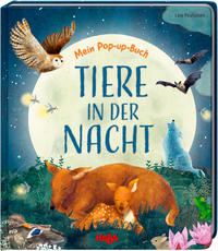 Vorderes Coverbild Mein Pop-up-Buch – Tiere in der Nacht