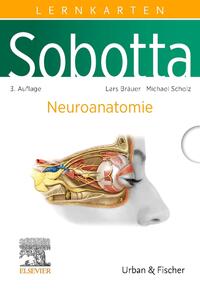Vorderes Coverbild Sobotta Lernkarten Neuroanatomie