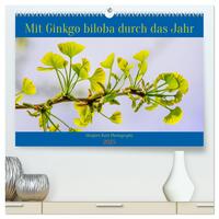 Vorderes Coverbild Mit Ginkgo biloba durch das Jahr (hochwertiger Premium Wandkalender 2025 DIN A2 quer), Kunstdruck in Hochglanz