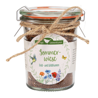 Vorderes Coverbild Sommerwiese