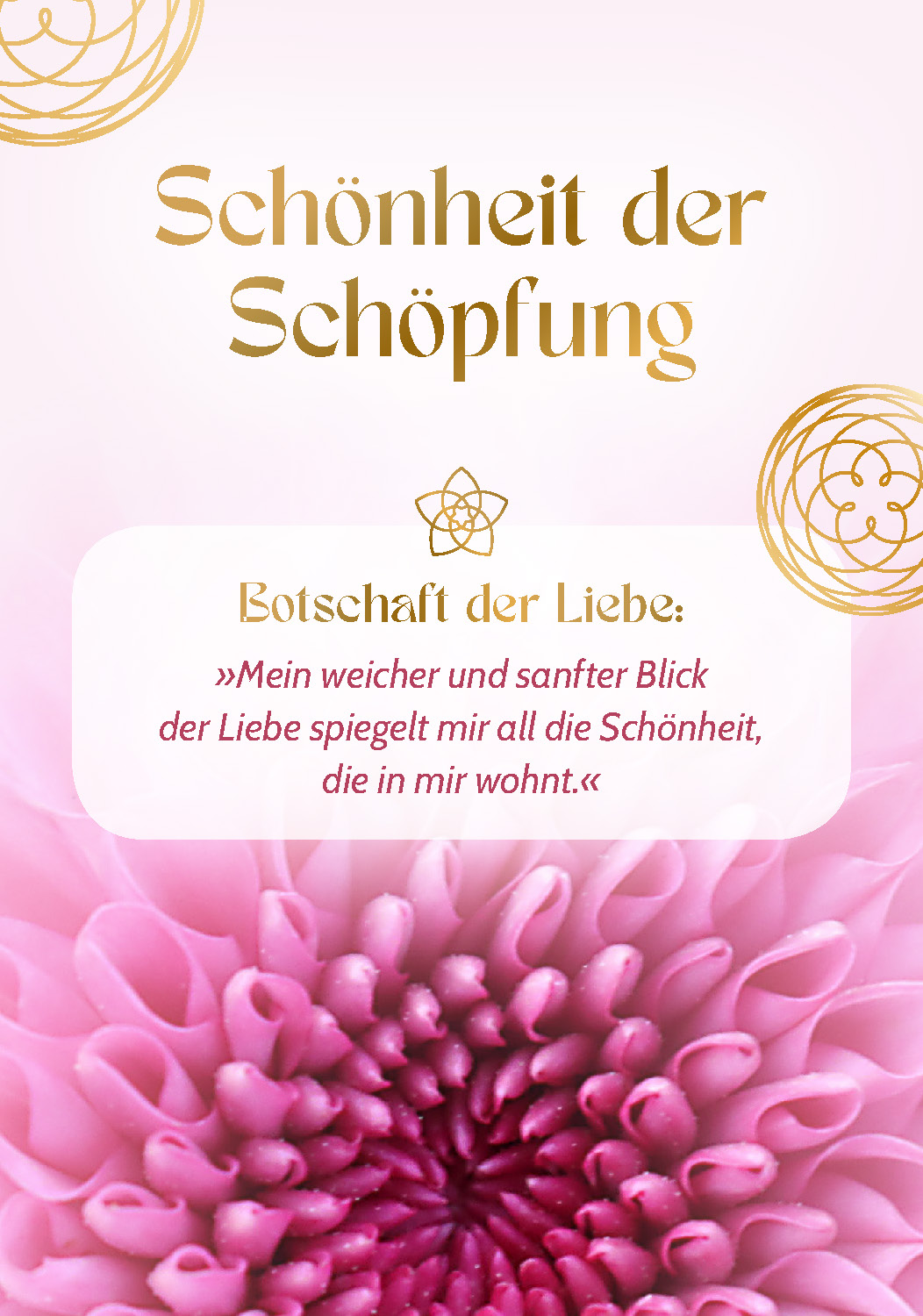 Beispielinhalt (Bild) Blume der Liebe - 40 inspirierende Impulse für gelebte Liebe