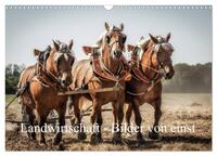 Vorderes Coverbild Landwirtschaft - Bilder von einst (Wandkalender 2025 DIN A3 quer), CALVENDO Monatskalender