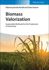Vorderes Coverbild Biomass Valorization