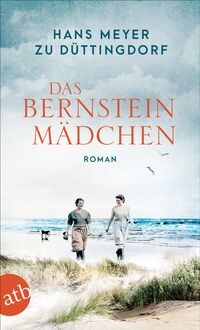 Vorderes Coverbild Das Bernsteinmädchen
