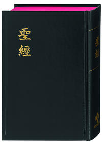 Vorderes Coverbild Bibel Chinesisch (Shangti Edition)
