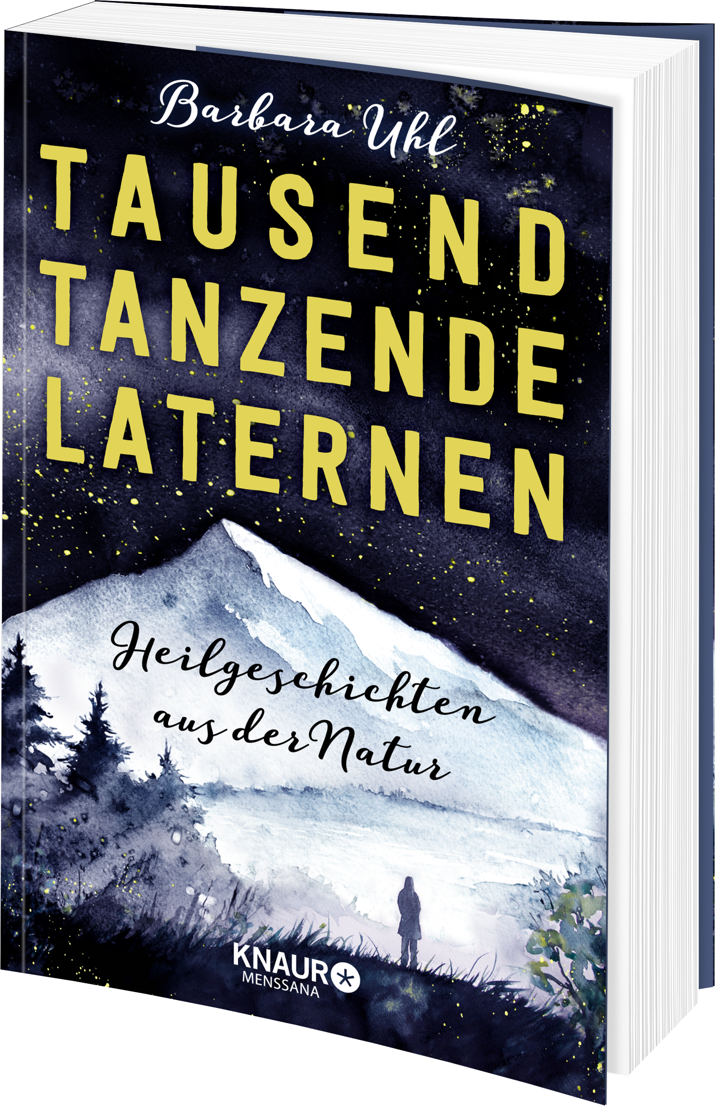Anderes Coverbild Tausend tanzende Laternen