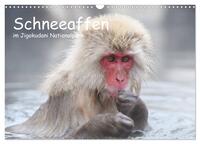 Vorderes Coverbild Schneeaffen im Jigokudani Nationalpark (Wandkalender 2026 DIN A3 quer), CALVENDO Monatskalender