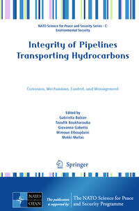 Vorderes Coverbild Integrity of Pipelines Transporting Hydrocarbons