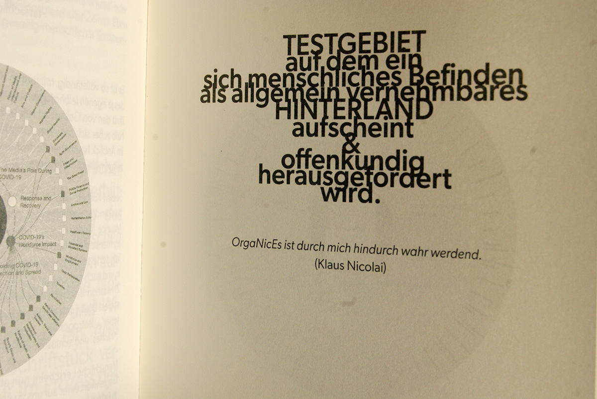 Beispielinhalt (Bild) Testgebiet Hinter Land