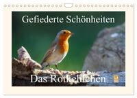 Vorderes Coverbild Gefiederte Schönheiten - Das Rotkehlchen (Wandkalender 2025 DIN A4 quer), CALVENDO Monatskalender