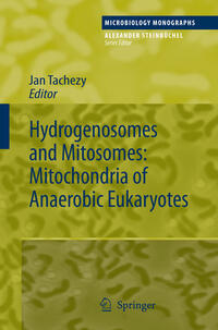 Vorderes Coverbild Hydrogenosomes and Mitosomes: Mitochondria of Anaerobic Eukaryotes