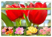 Vorderes Coverbild Tulpen. Zauberhafte Blütenpracht (Wandkalender 2025 DIN A4 quer), CALVENDO Monatskalender