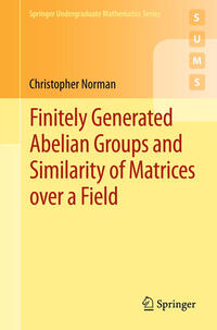 Vorderes Coverbild Finitely Generated Abelian Groups and Similarity of Matrices over a Field