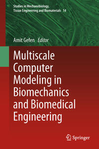 Vorderes Coverbild Multiscale Computer Modeling in Biomechanics and Biomedical Engineering