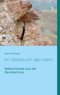 Vorderes Coverbild Im Steinbruch des Herrn