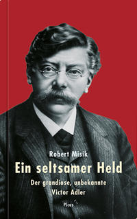 Vorderes Coverbild Ein seltsamer Held