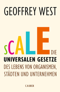 Vorderes Coverbild Scale