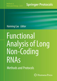 Vorderes Coverbild Functional Analysis of Long Non-Coding RNAs