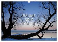 Vorderes Coverbild Bäume sind Träume (Wandkalender 2025 DIN A3 quer), CALVENDO Monatskalender