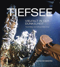 Vorderes Coverbild Tiefsee