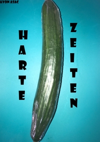 Vorderes Coverbild Harte Zeiten