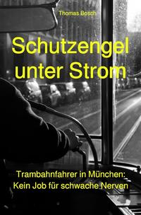Vorderes Coverbild Schutzengel unter Strom