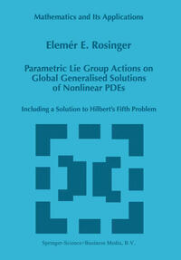 Vorderes Coverbild Parametric Lie Group Actions on Global Generalised Solutions of Nonlinear PDEs