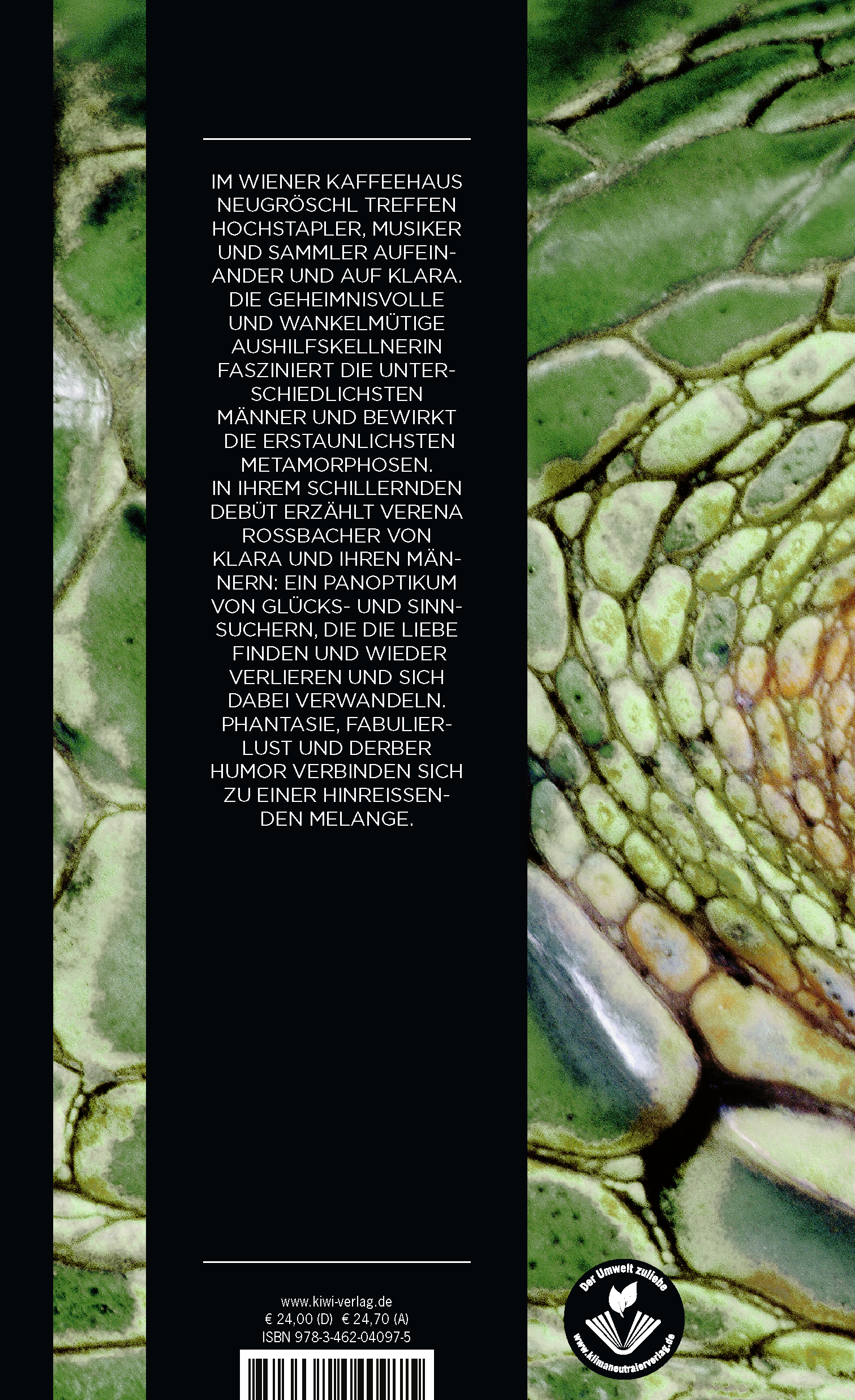 Rückseitencover Verlangen nach Drachen