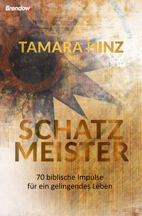 Vorderes Coverbild Schatzmeister