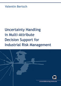 Vorderes Coverbild Uncertainty handling in multi-attribute decision support for industrial risk management