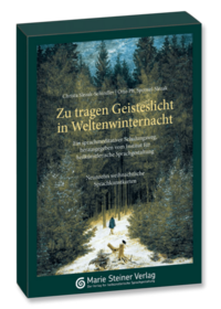 Vorderes Coverbild Weltenwinternacht