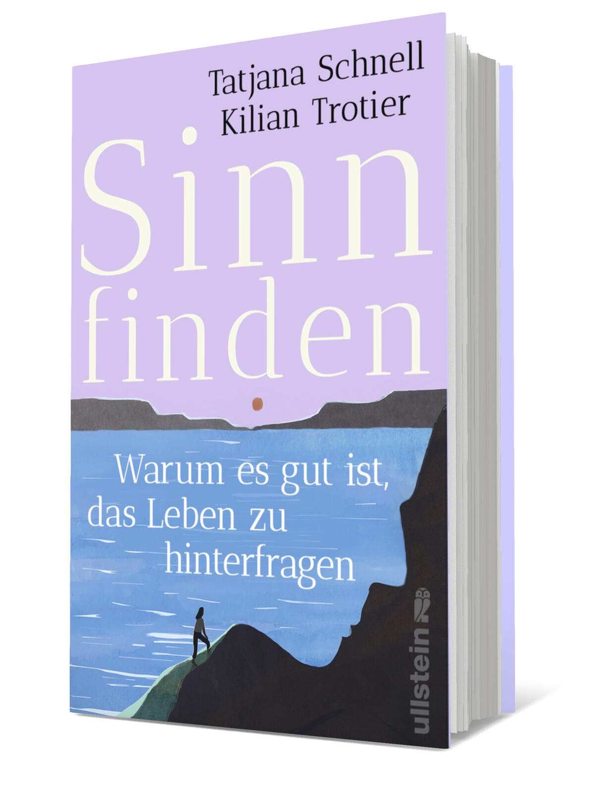 Anderes Coverbild Sinn finden