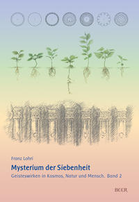 Vorderes Coverbild Mysterium der Siebenheit