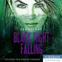 Vorderes Coverbild Black Night Falling