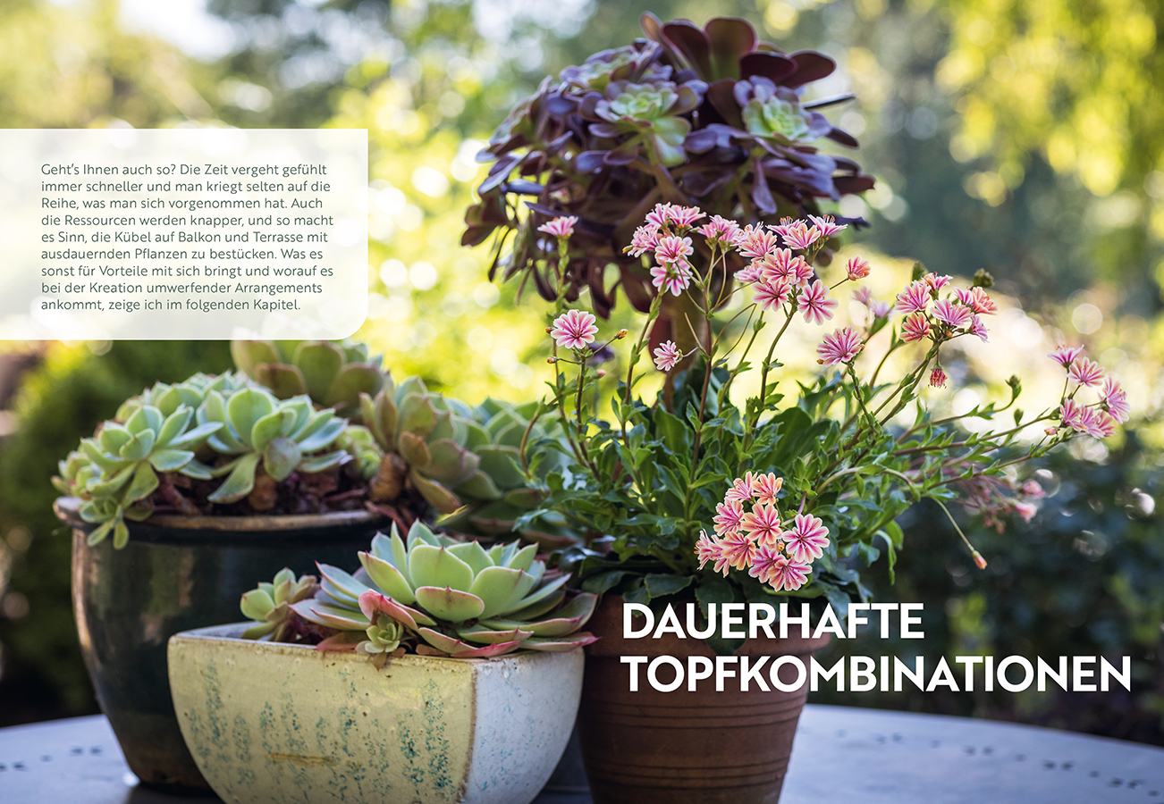 Beispielinhalt (Bild) Mein Garten wächst im Topf