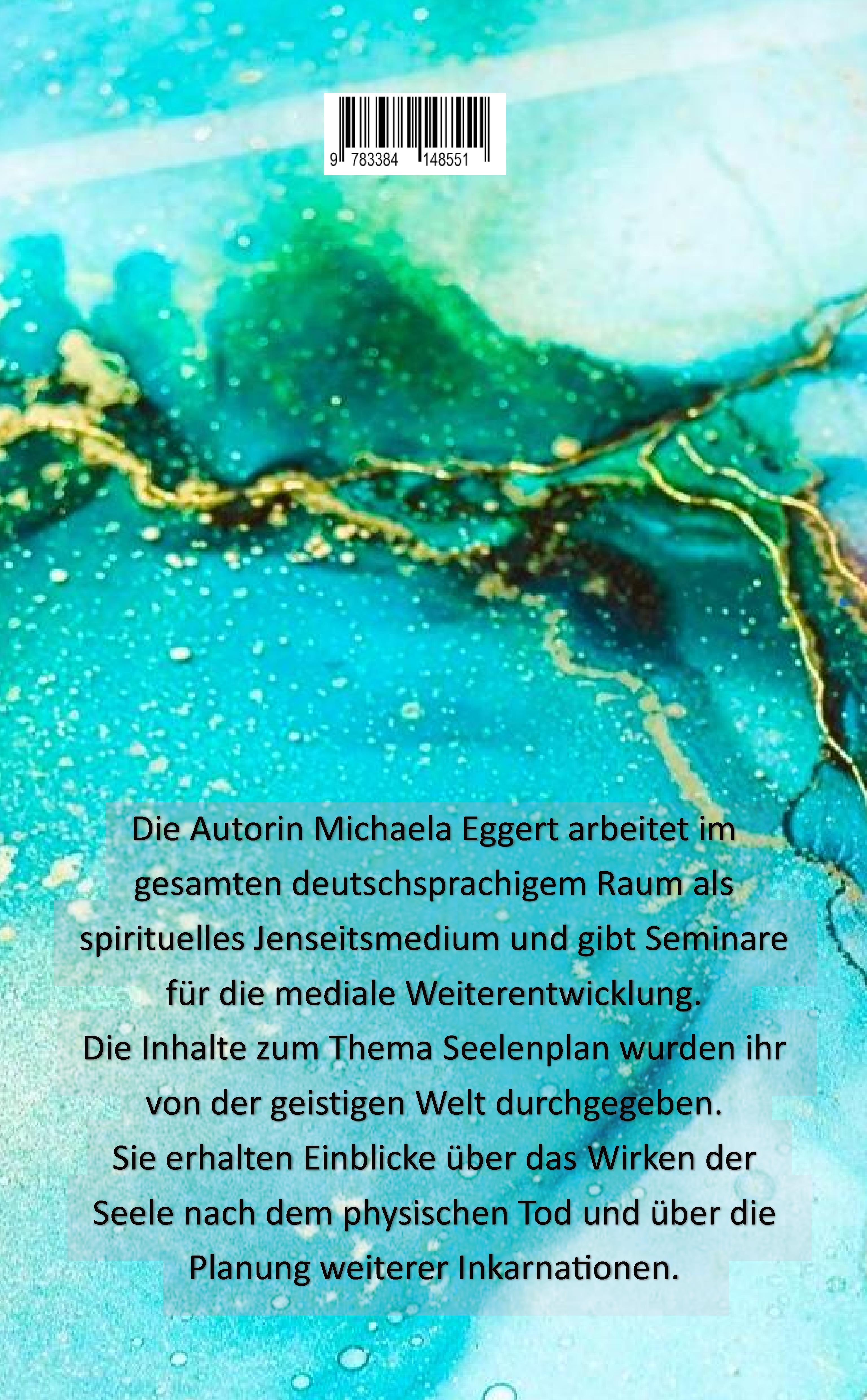 Rückseitencover Der Seelenplan