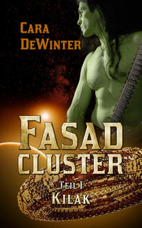 Vorderes Coverbild Fasad Cluster