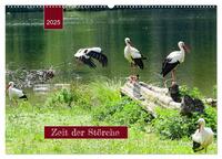 Vorderes Coverbild Zeit der Störche (Wandkalender 2025 DIN A2 quer), CALVENDO Monatskalender