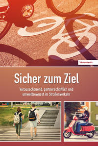 Vorderes Coverbild Sicher zum Ziel
