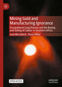 Vorderes Coverbild Mining Gold and Manufacturing Ignorance
