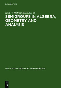 Vorderes Coverbild Semigroups in Algebra, Geometry and Analysis