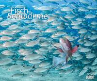 Vorderes Coverbild DUMONT - Fischschwärme 2025 Fotokunst-Kalender, 60x50cm, Wandkalender mit bunten Unterwasserwelt-Aufnahmen, schillernde Fischschwärme von Top-Unterwasserfotografen